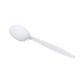 Corn Starch Soup Spoon Factory - Custom Compostable White OEM