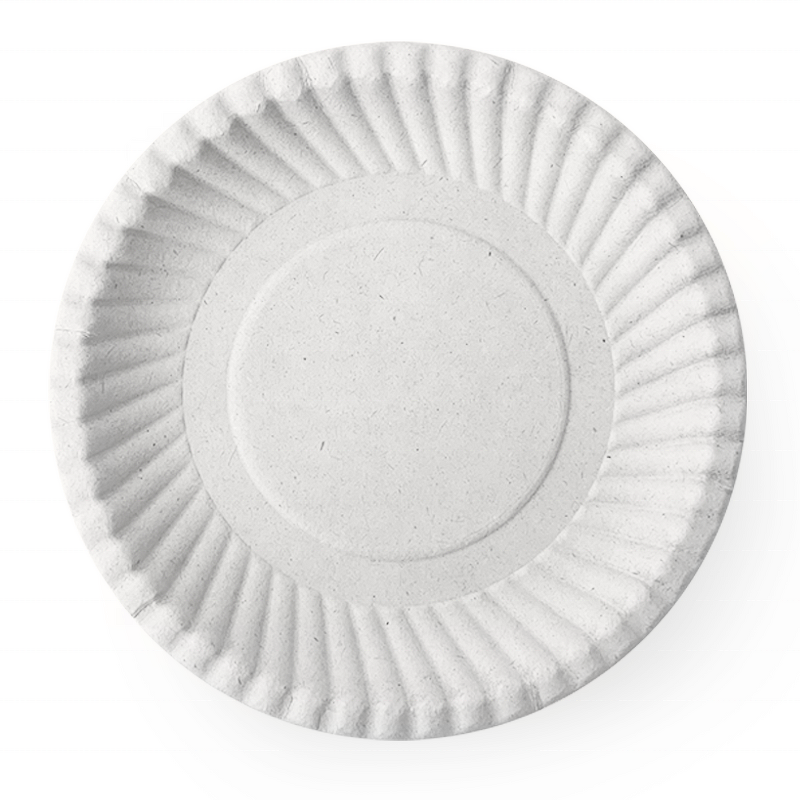 Sugarcane Pulp Plate Factory - Custom 10Inch Microwavable Dish