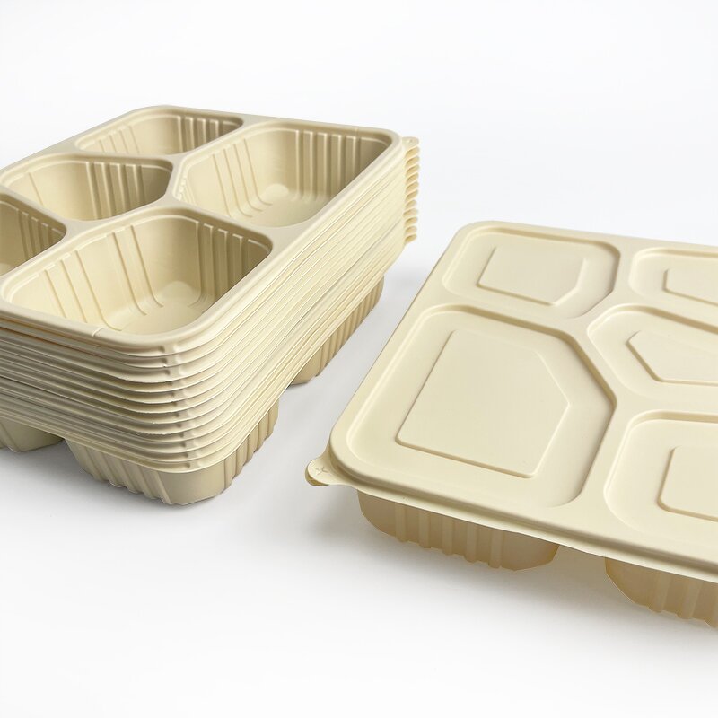 Cornstarch Lunch Box Factory - Custom Biodegradable 5 Compartments