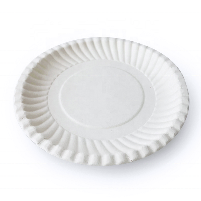 Sugarcane Pulp Plate Factory - Custom 10Inch Microwavable Dish