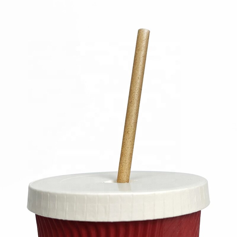 Sugarcane Straw Manufacturer - Custom Single Paper Wrapped