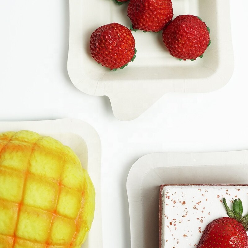 Sugarcane Tray Supplier - Custom Dessert Cake Snack Takeaway