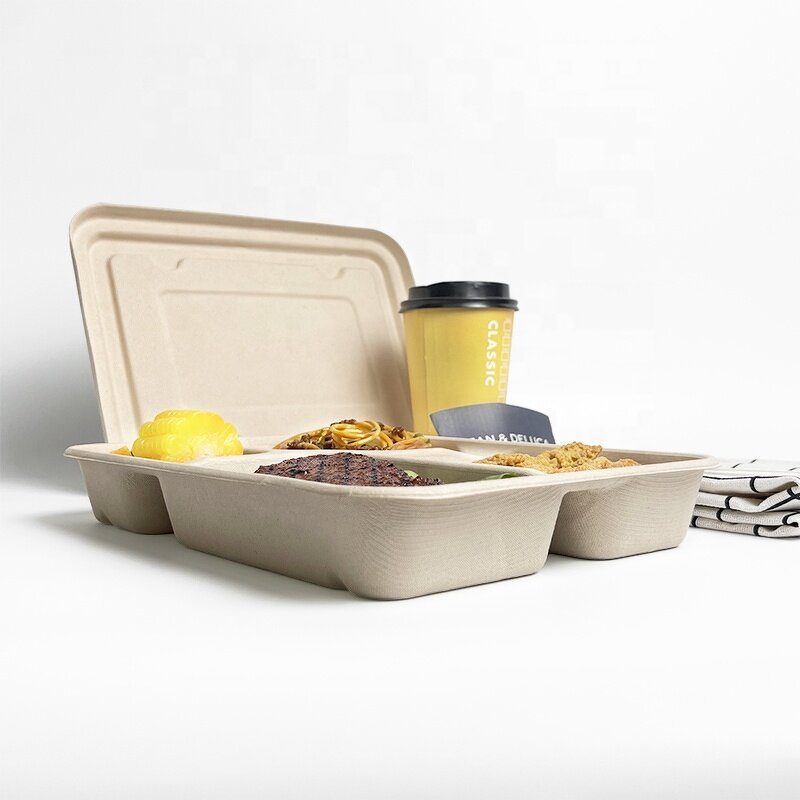 Sugarcane Tray Factory - Custom 4 Compartments with Lid OEM