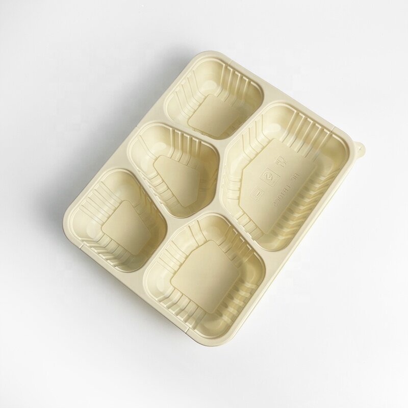 Cornstarch Lunch Box Supplier - Custom 5 Compartments Food Packaging