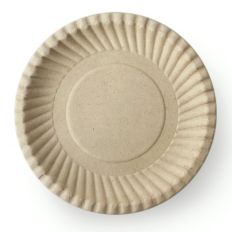 Sugarcane Pulp Plate Factory - Custom 10Inch Microwavable Dish