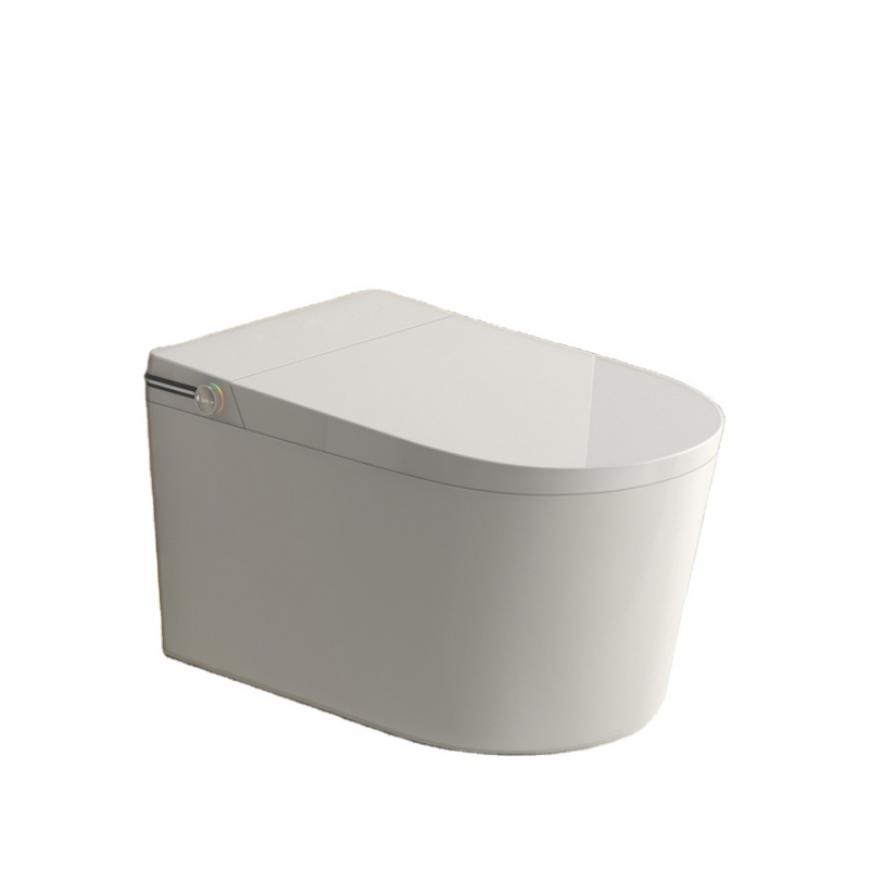 Smart Toilet Manufacturer - OEM/ODM Custom Floor Mounted Ceramic Water Closet