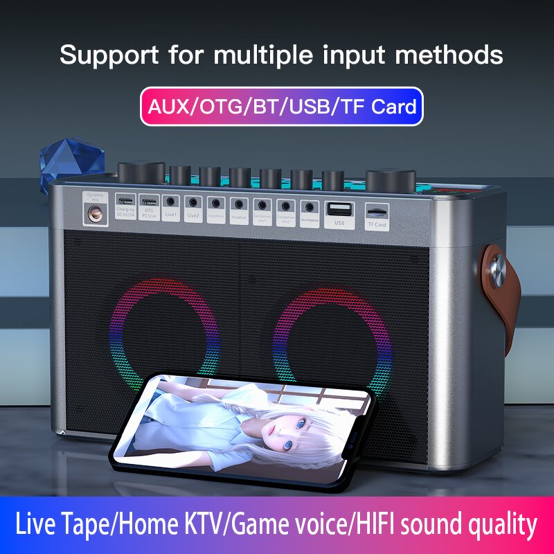 Portable Audio Sound Card Manufacturer - OEM/ODM All-In-One KTV Machine Speaker