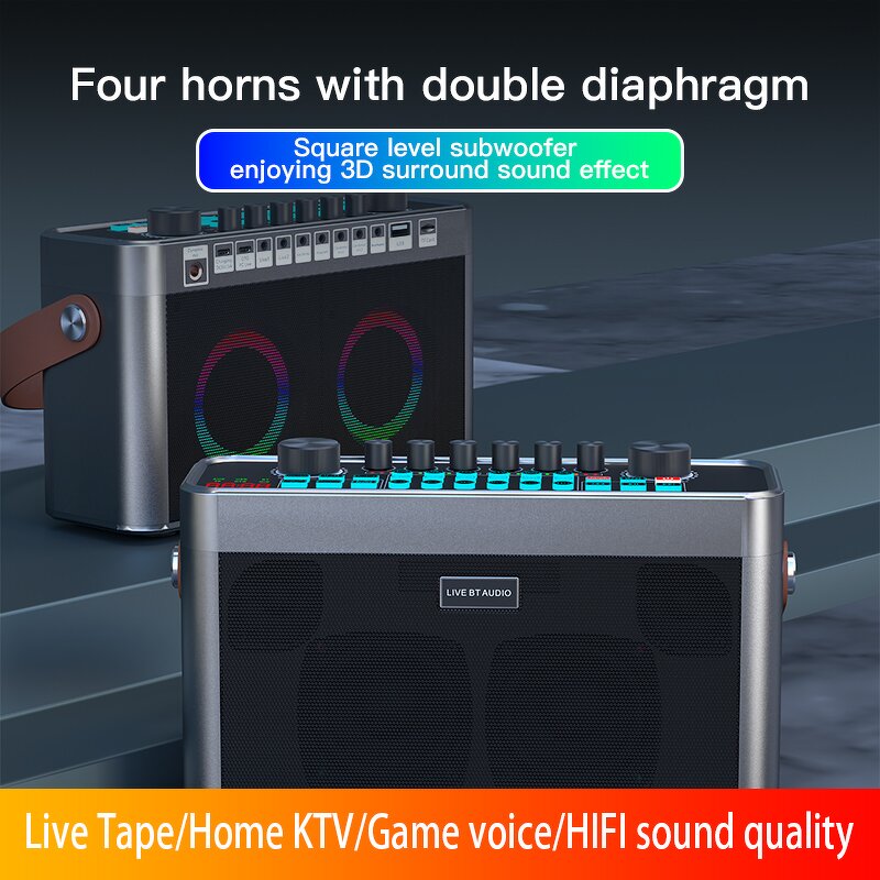 Portable Audio Sound Card Manufacturer - OEM/ODM All-In-One KTV Machine Speaker