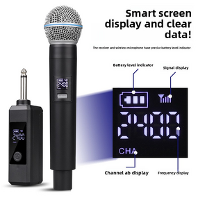 Wireless Microphone Manufacturer - OEM/ODM Cardioid XLR One-to-Two Karaoke Mic