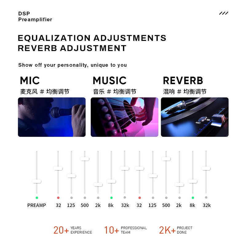 DSP Feedback Suppressor Manufacturer - OEM/ODM Preamp Preamplifier Karaoke Effector