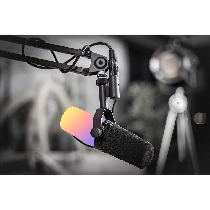 Dynamic Microphone Manufacturer - OEM/ODM Professional Vocal XLR/USB Gaming Mic