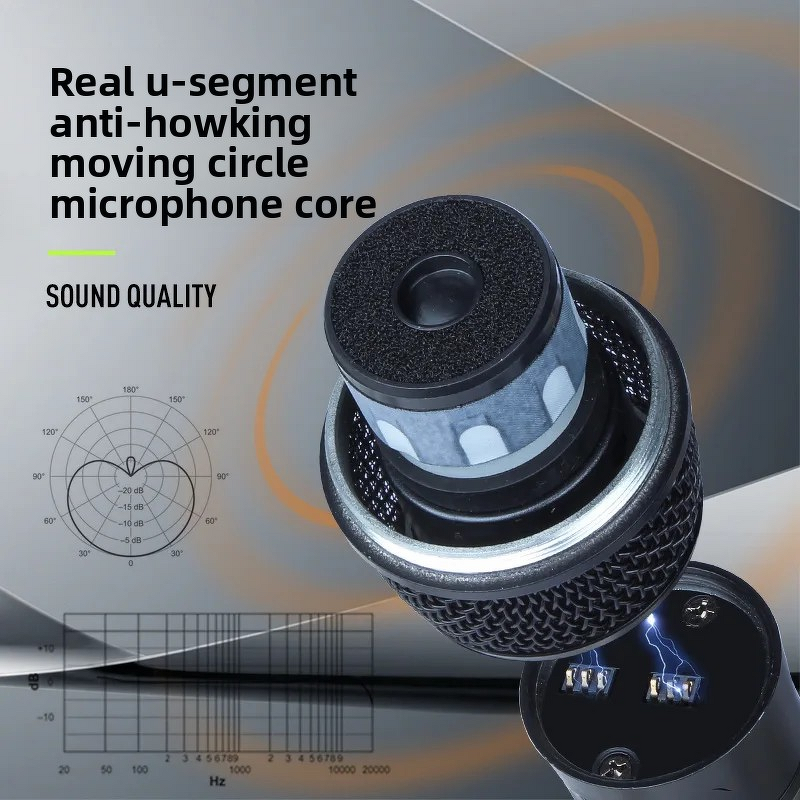 Wireless Microphone Manufacturer - OEM/ODM Portable Performance-Grade Karaoke Mic