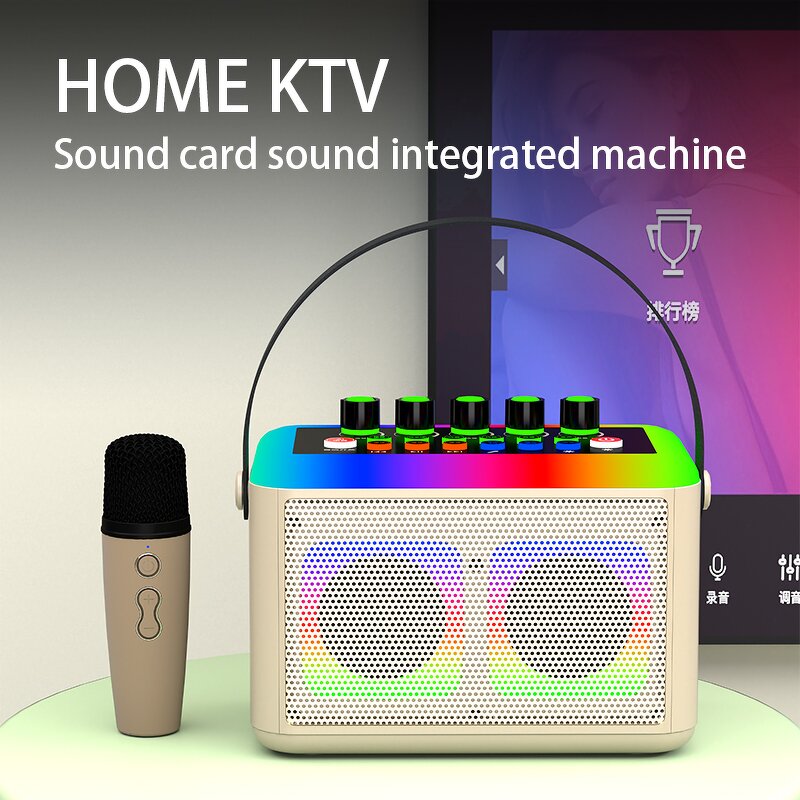 Karaoke Machine Manufacturer - OEM/ODM BT RGB Sound Card with Microphones