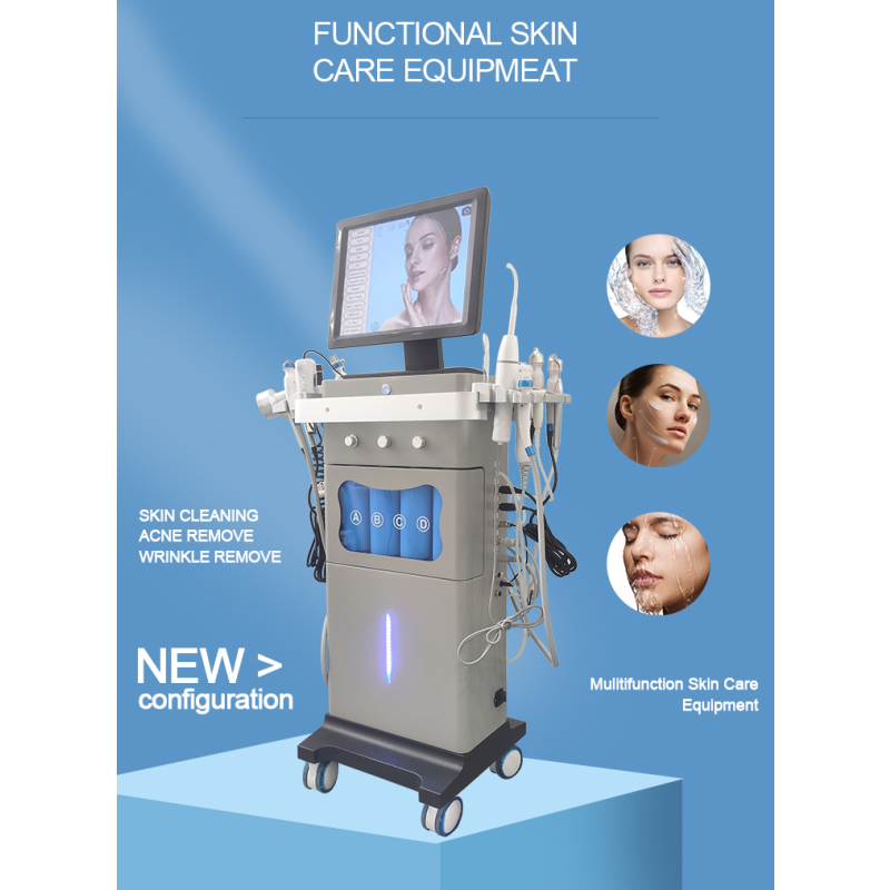 Vacuum Cleaner Supplier - OEM Portable Blackhead Remover Beauty