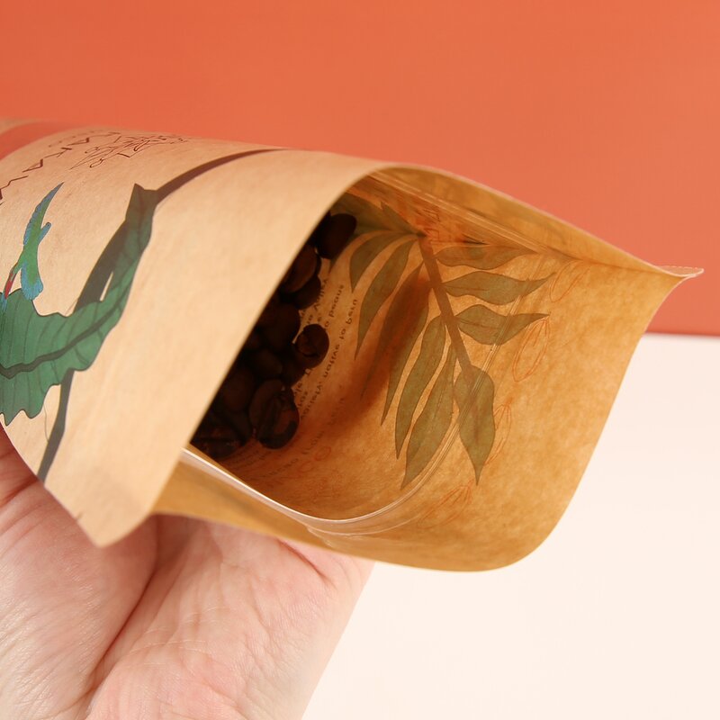 Biodegradable Bag Manufacturer - OEM/ODM Custom Compostable Kraft Paper Pouch