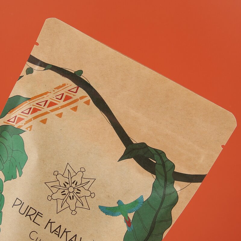 Biodegradable Bag Manufacturer - OEM/ODM Custom Compostable Kraft Paper Pouch