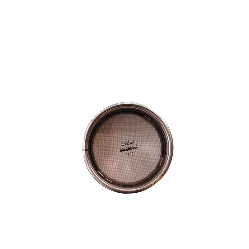 Euro 6 DPF Carrier Supplier - Catalyst Diesel Filter OEM