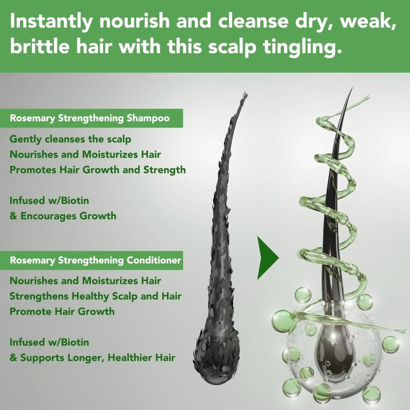 Shampoo Set Factory - TWG RTS Hot Sale Fragrance Anti Dandruff