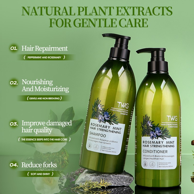 Shampoo Set Factory - TWG RTS Hot Sale Fragrance Anti Dandruff