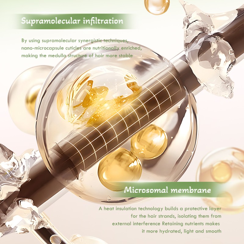 Essence Oil Factory - TWG Hot Selling All in 1 Rosemary Biotin