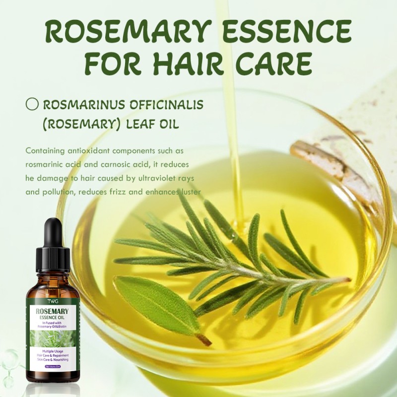 Essence Oil Factory - TWG Hot Selling All in 1 Rosemary Biotin
