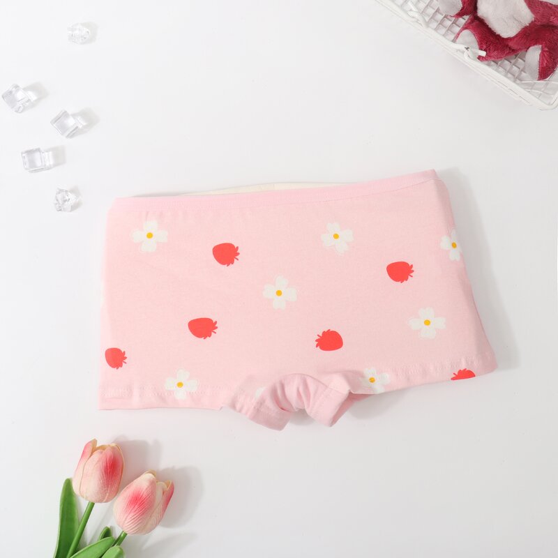 Girls Underwear Supplier - In-Stock 4pcs/set 95% Cotton