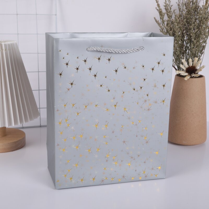 Paper Bag Manufacturer - OEM/ODM Custom Red Printed Clothing Shopping Bag