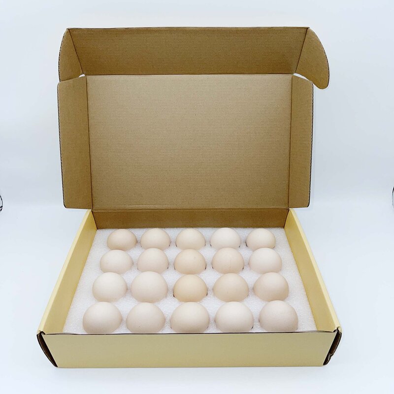 Egg Carton Manufacturer - OEM/ODM Custom Corrugated Chicken Egg Box