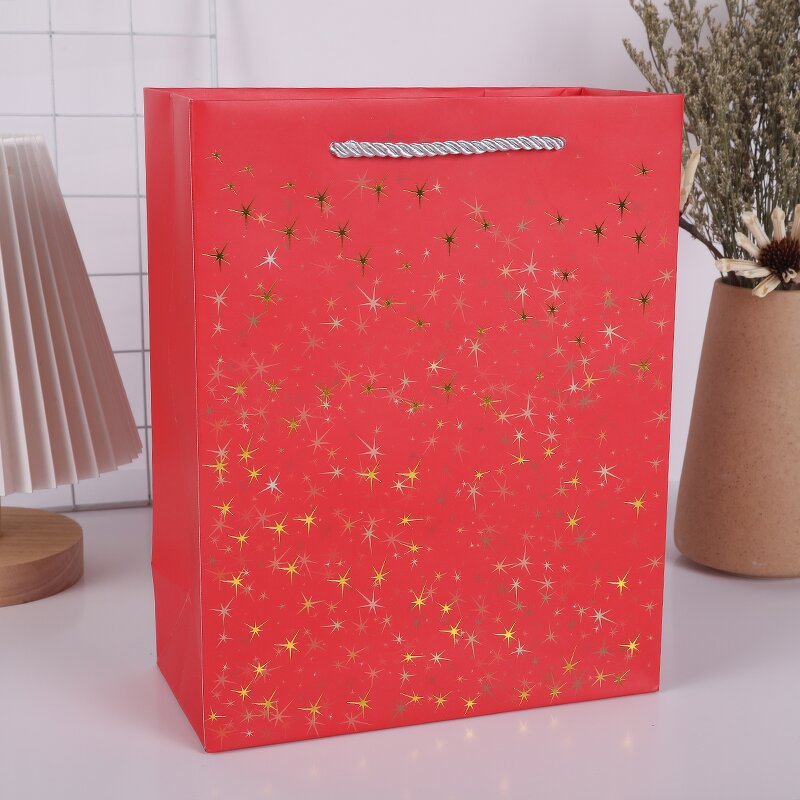 Paper Bag Manufacturer - OEM/ODM Custom Red Printed Clothing Shopping Bag