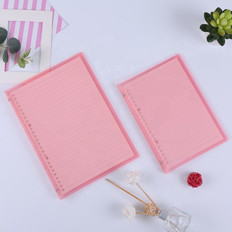 Notebook Case Manufacturer - Creative Bandage PP Matte Translucent