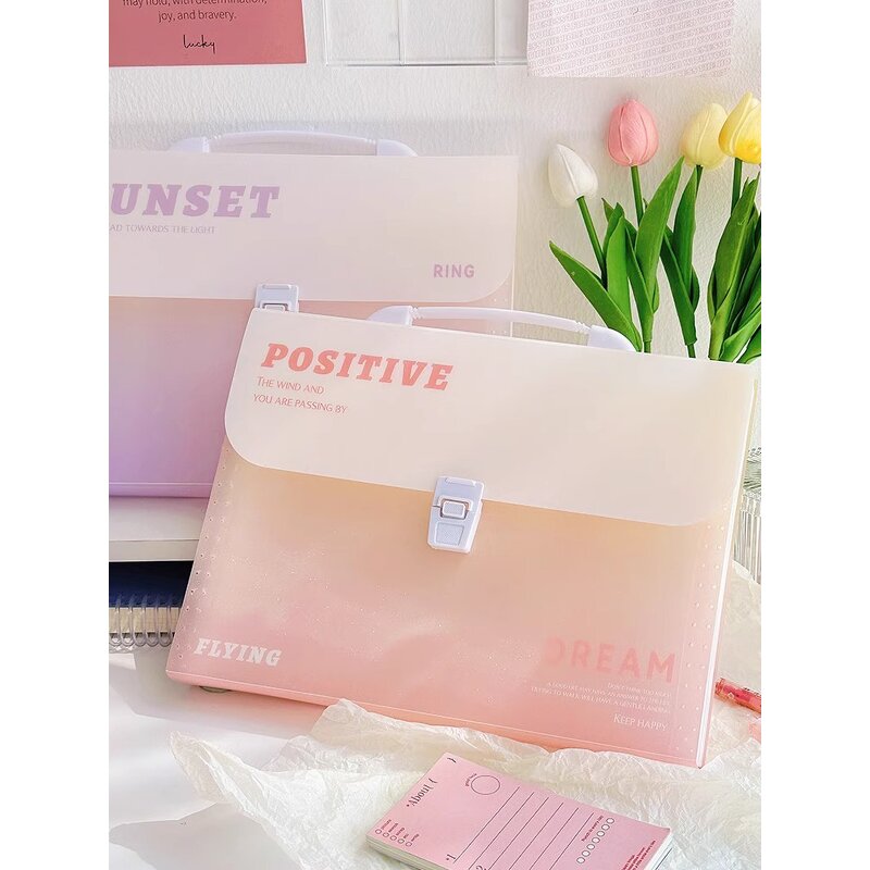 Document Bags Folder Factory - Cute Student Large Capacity A4