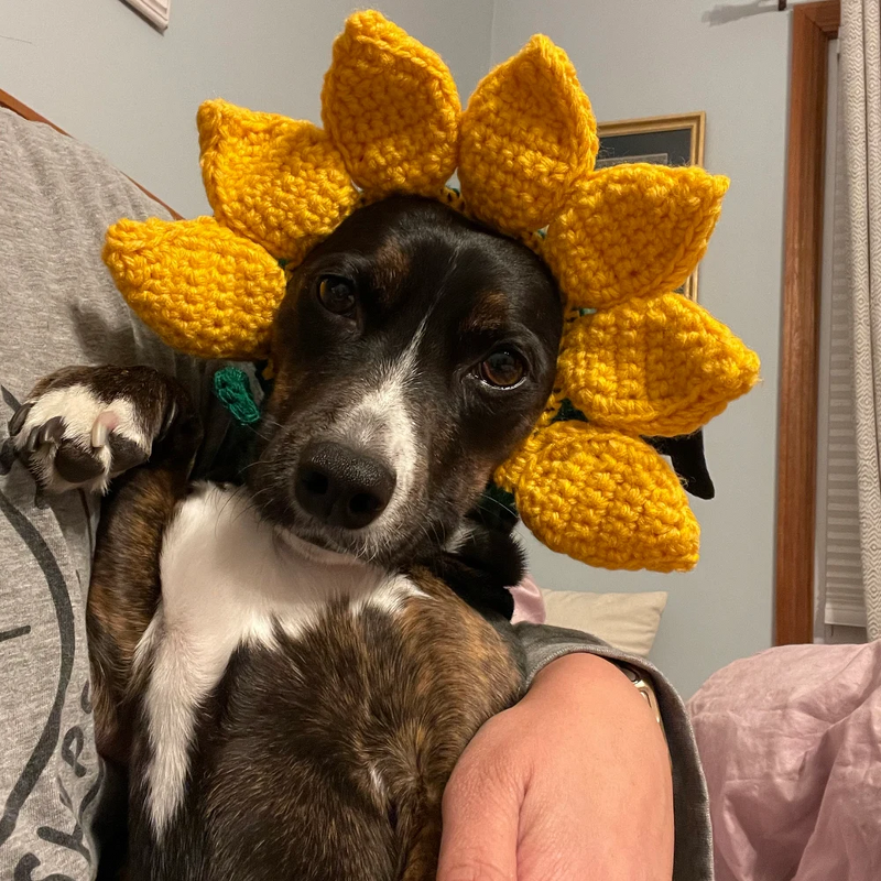 Crochet Hat Manufacturer - OEM/ODM Custom Cat Knitted Hut Ear Holes