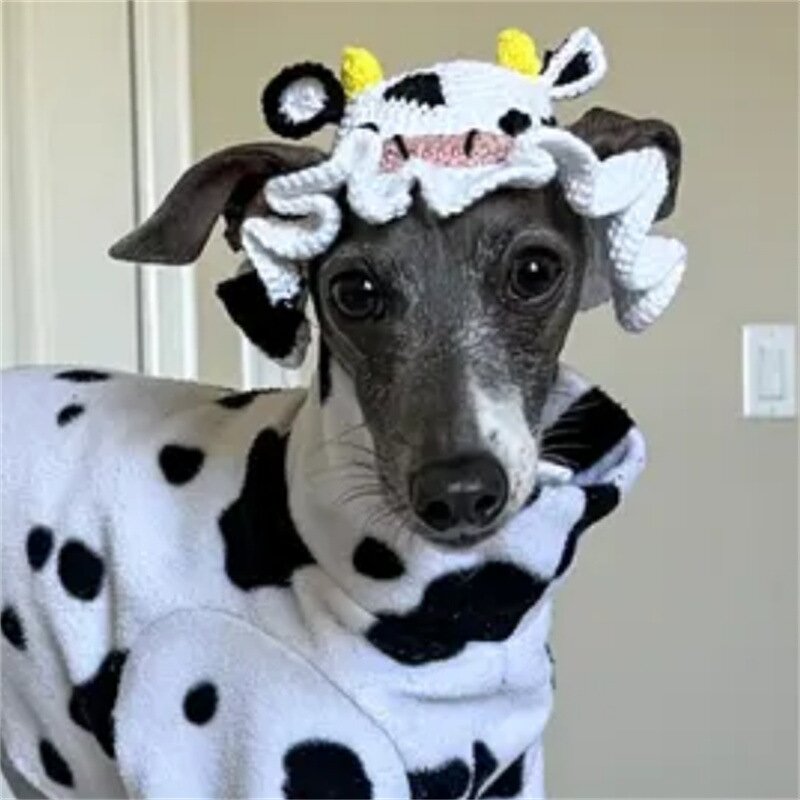 Crochet Hat Manufacturer - OEM/ODM Custom Pet Animal Cat Dog Photo Prop