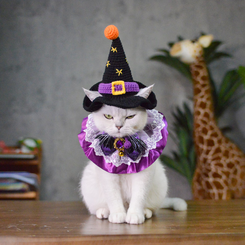 Pet Hat Manufacturer - OEM/ODM Custom Crocheted Witch Halloween Cat Hat