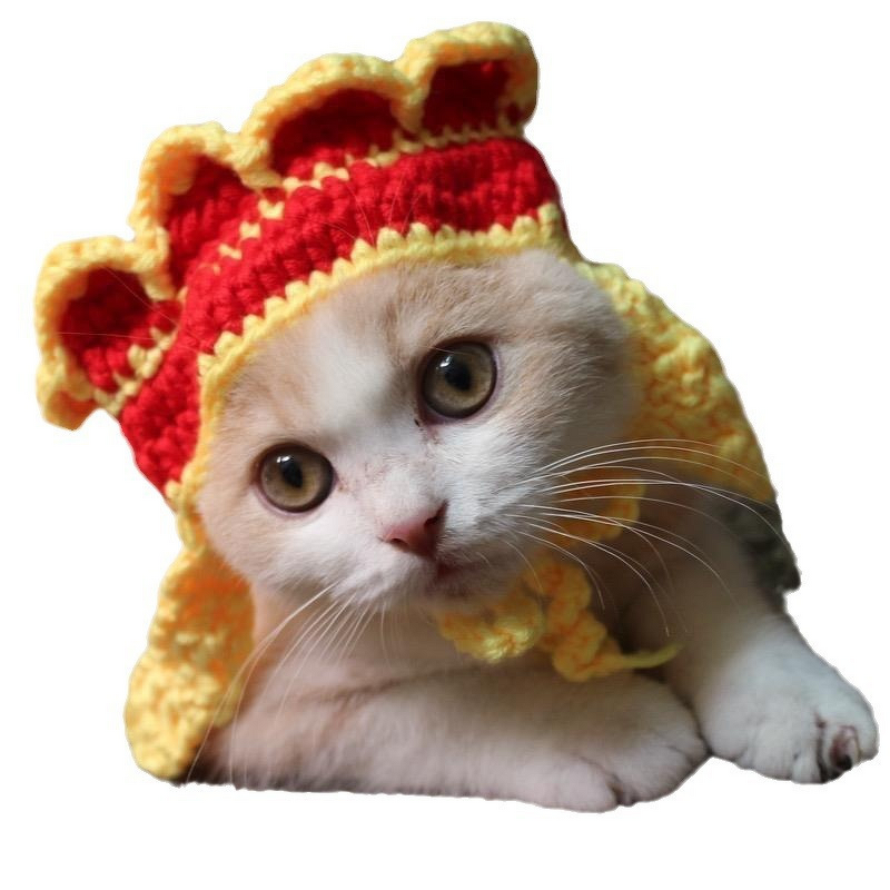 Pet Hat Manufacturer - OEM/ODM Custom Crochet Pet Hat Fashion Photo Prop