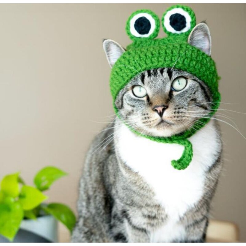 Crochet Hat Manufacturer - OEM/ODM Custom Pet Frog Photo Prop Daily Wear