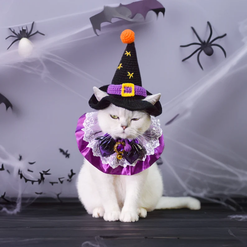 Pet Hat Manufacturer - OEM/ODM Custom Crocheted Witch Halloween Cat Hat