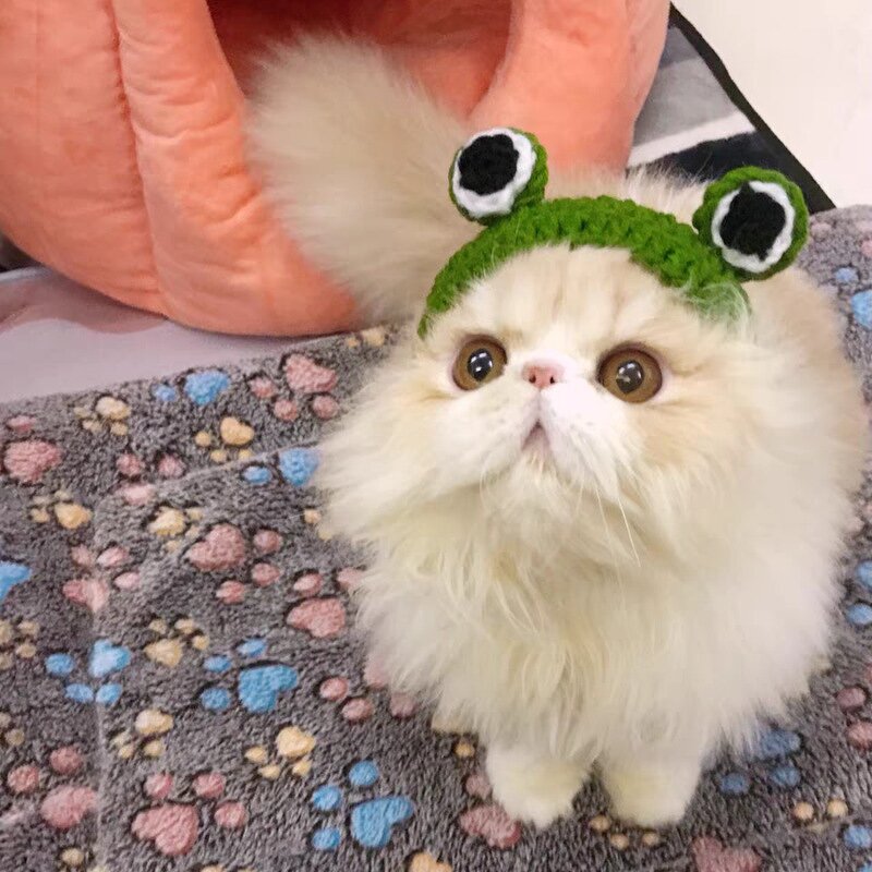 Crochet Hat Manufacturer - OEM/ODM Custom Pet Frog Photo Prop Daily Wear