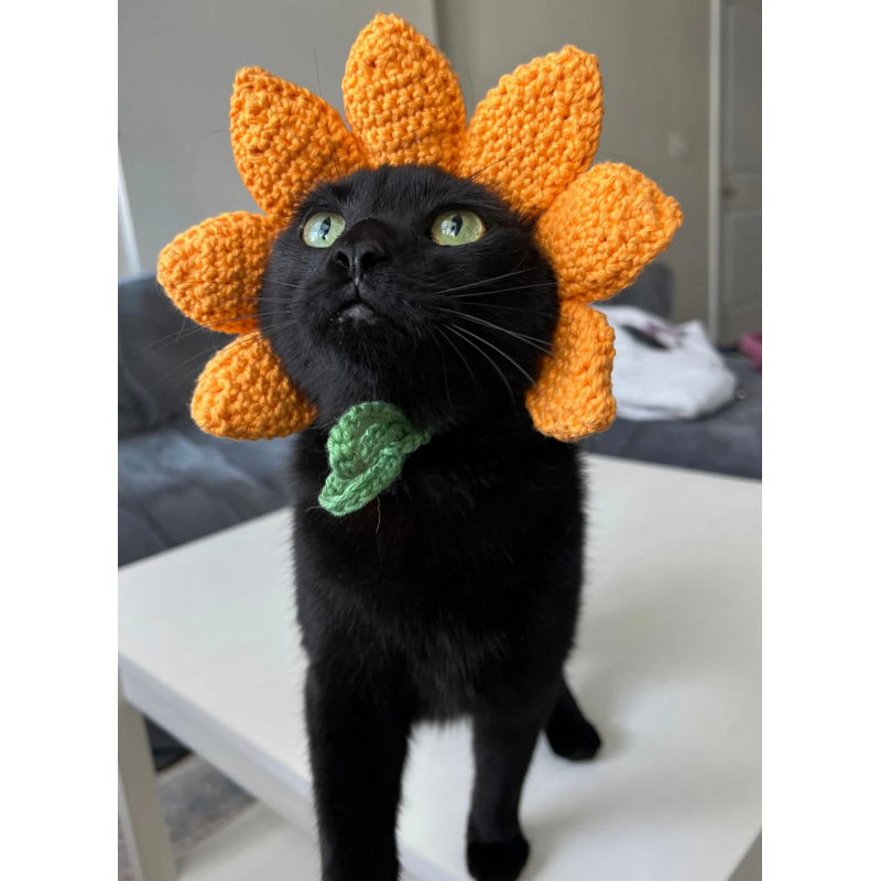 Crochet Hat Manufacturer - OEM/ODM Custom Cat Knitted Hut Ear Holes