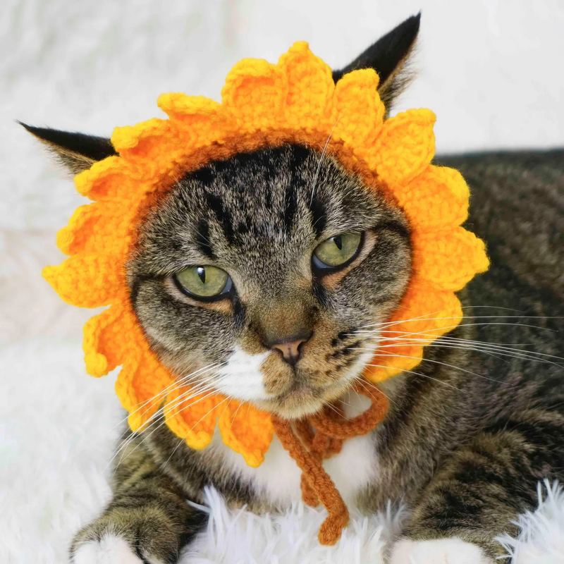 Crochet Hat Manufacturer - OEM/ODM Custom Cat Knitted Hut Ear Holes