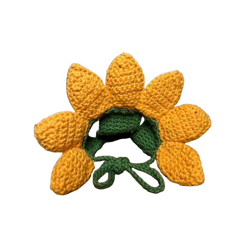 Crochet Hat Manufacturer - OEM/ODM Custom Cat Knitted Hut Ear Holes