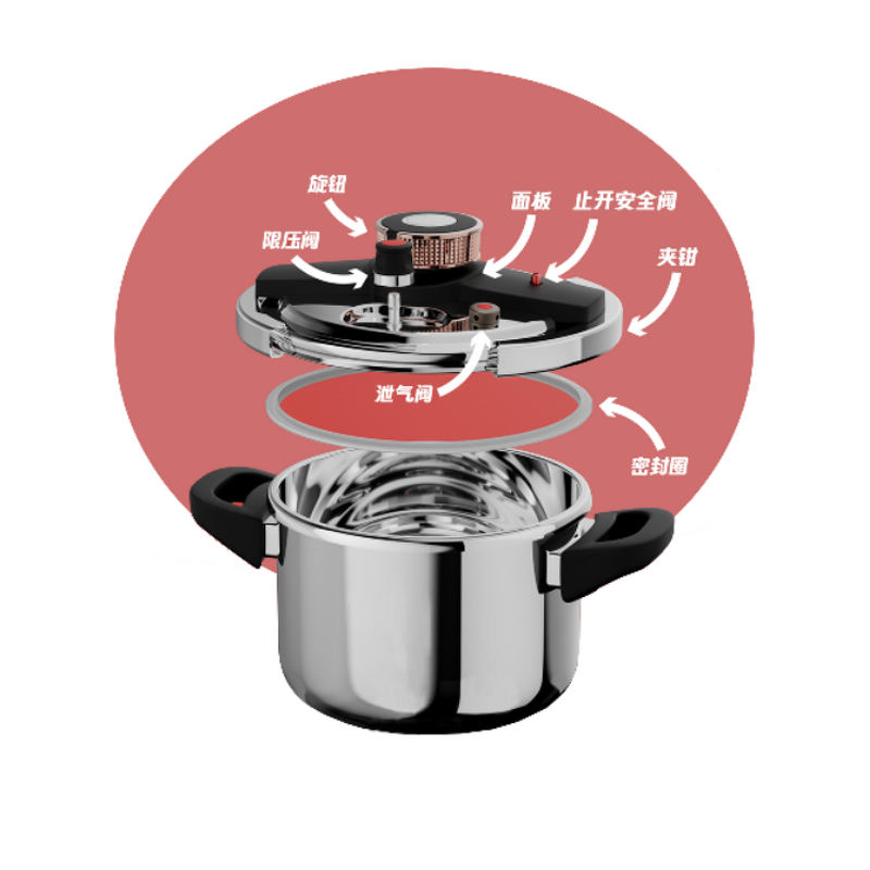 Pressure Cooker Manufacturer - OEM/ODM Custom Stainless Steel 304 6L Household