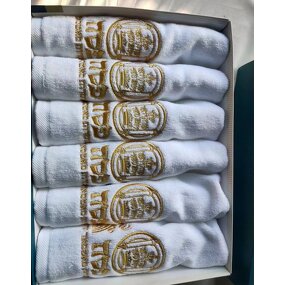 Hand Towel Manufacturer - OEM/ODM Custom Cotton Soft Absorbent Adult