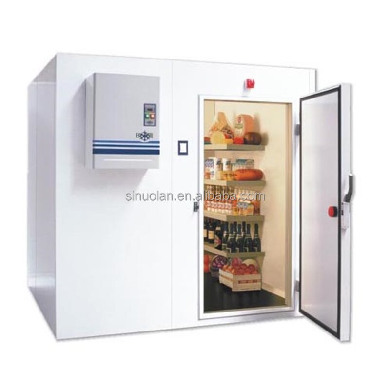 Walk-in Cooler Freezer Factory - New Design Combo Container