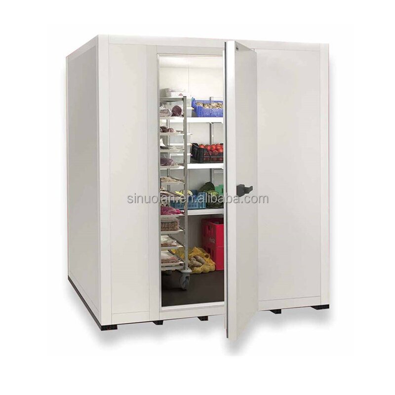 Walk-in Cooler Freezer Factory - New Design Combo Container