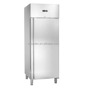 Commercial Refrigerator Supplier - Factory Price Vegetable Freezer