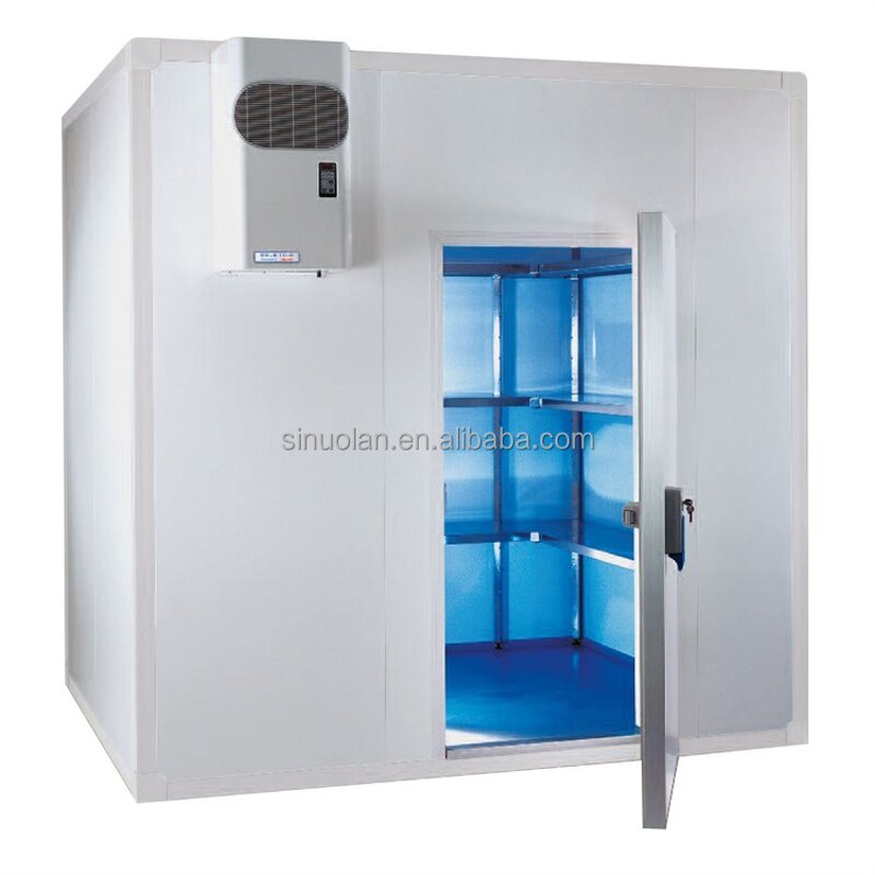 Walk-in Cooler Freezer Factory - New Design Combo Container