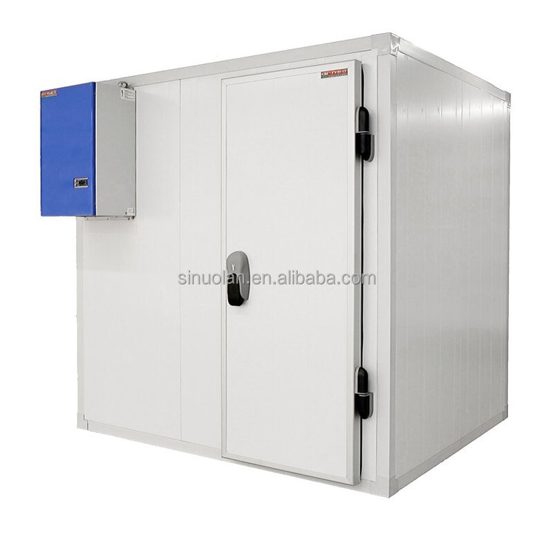 Walk-in Cooler Freezer Factory - New Design Combo Container