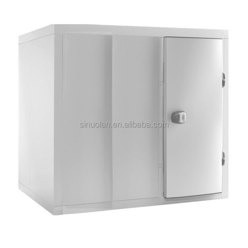 Walk-in Cooler Freezer Factory - New Design Combo Container