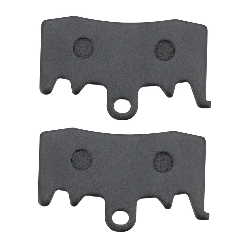 Motorcycle Brake Pads Factory - Front for BMW S 1000 XR R Nine T